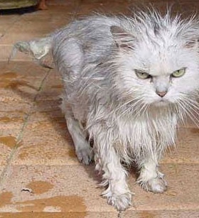 Még melegebb jön, de záporok is lesznek Még melegebb jön, de záporok is lesznek