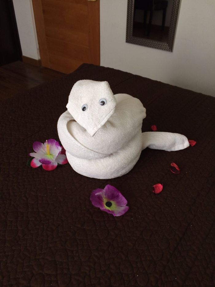 Zseniális törölközőszobrokat alkot egy hotel takarítónője Zseniális törölközőszobrokat alkot egy hotel takarítónője