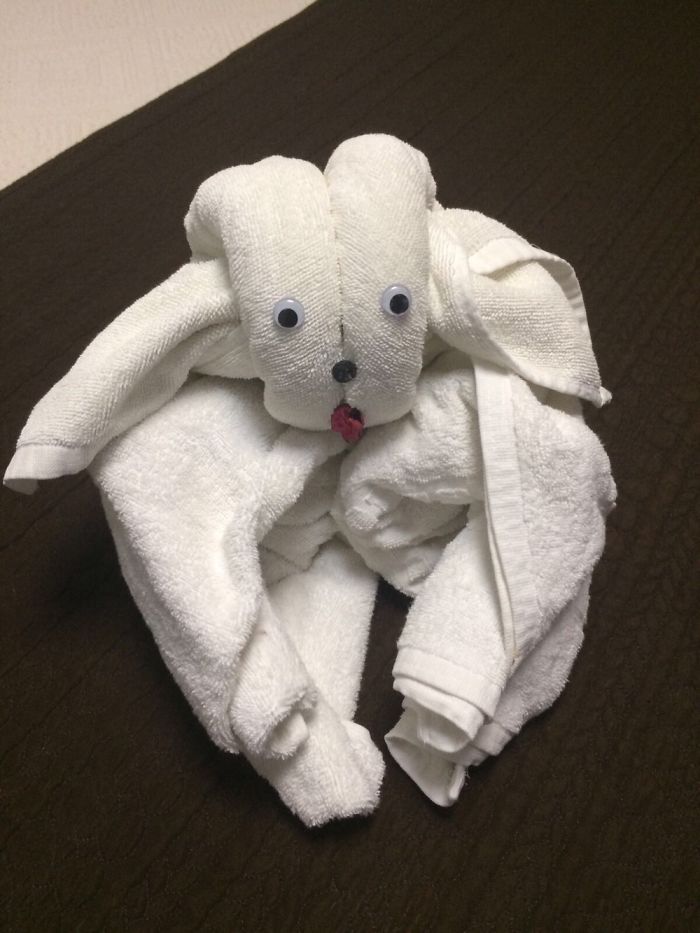 Zseniális törölközőszobrokat alkot egy hotel takarítónője Zseniális törölközőszobrokat alkot egy hotel takarítónője