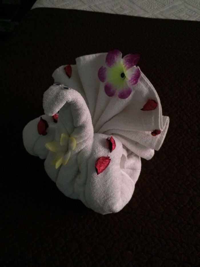 Zseniális törölközőszobrokat alkot egy hotel takarítónője