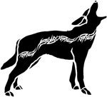 A kelta állatjegyed többet árul el rólad, mint gondolnád! - 2. rész