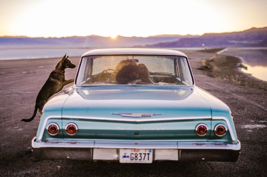 Eddig ezek 2017 leggyönyörűbb eljegyzési fotói