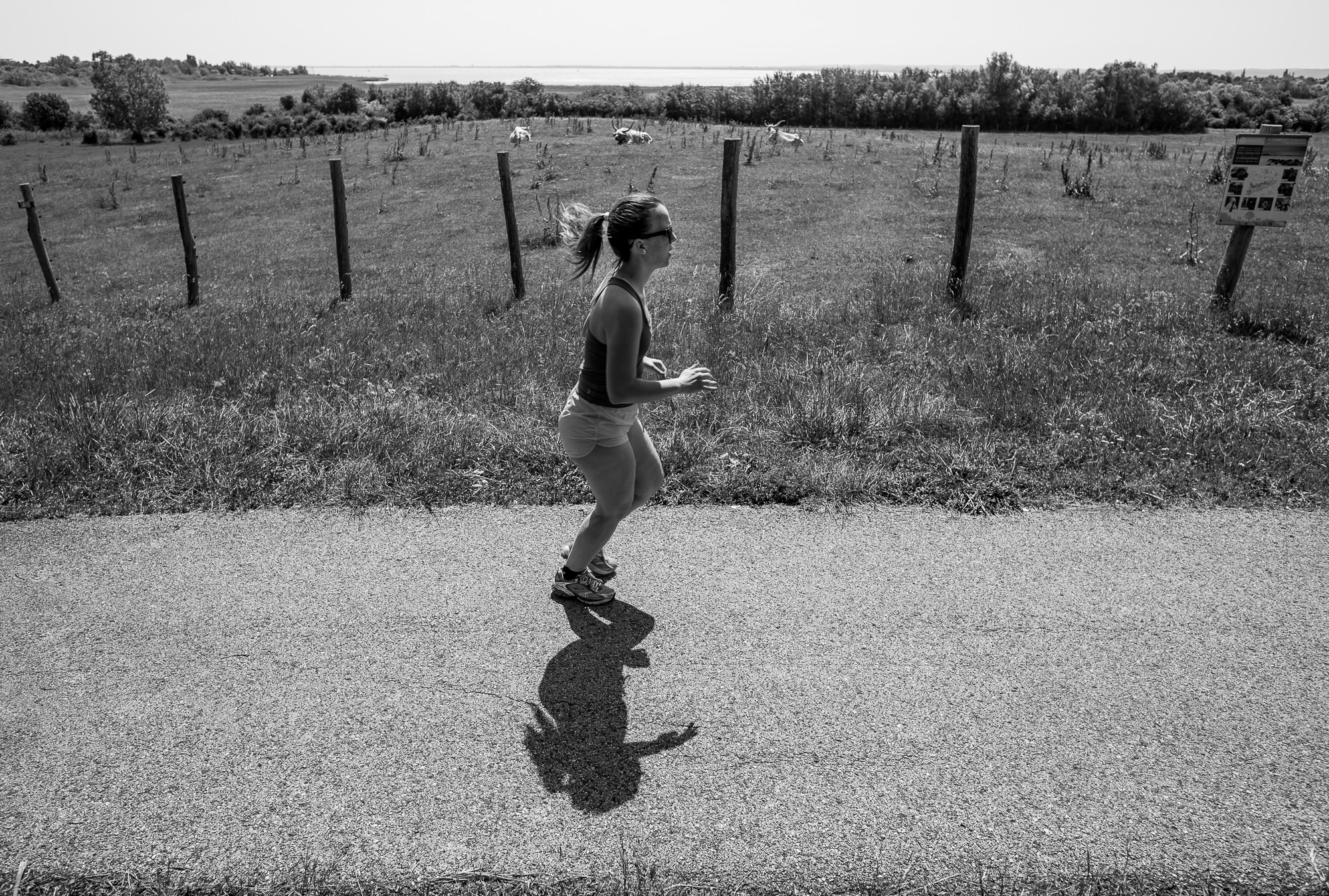 Egy óra és bedrogoz a saját agyad: az Ultrabalaton arcai Egy óra és bedrogoz a saját agyad: az Ultrabalaton arcai