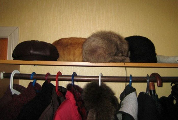 Megtalálod a hibát a képen? Ha megtalálod, úgysem bírod röhögés nélkül! Megtalálod a hibát a képen? Ha megtalálod, úgysem bírod röhögés nélkül!