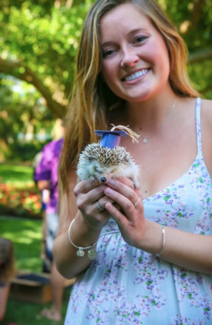 Külön ballagást tartanak a hallgatók kisállatainak ezen az egyetemen Külön ballagást tartanak a hallgatók kisállatainak ezen az egyetemen