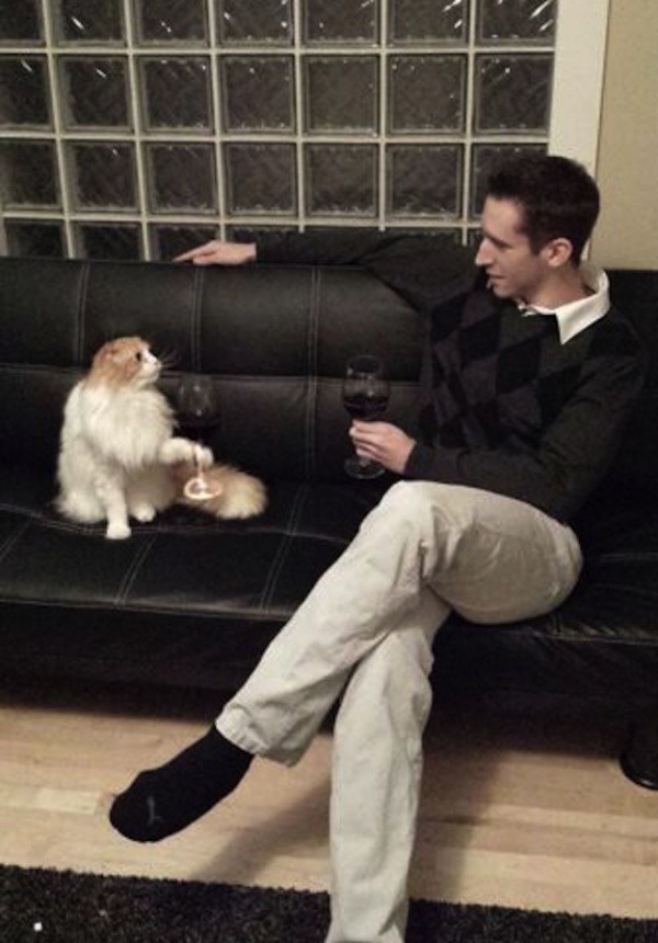 10 macska, aki gyanúsan furcsán viselkedik