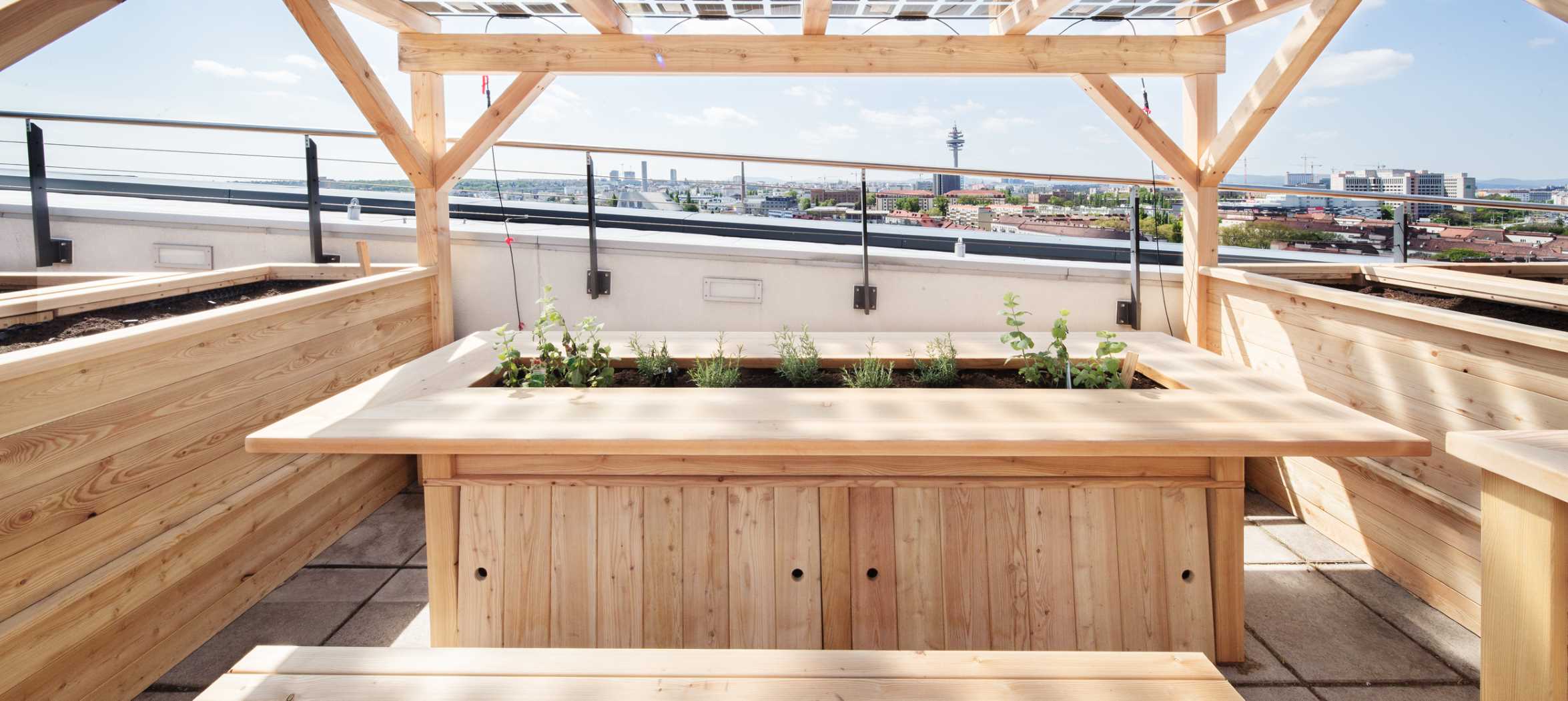 Okoságyást fejlesztettek ki Bécsben – meg is öntözi magát, ha kiszáradt