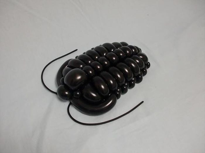 Lufiállatok, ahogy még nem láttad őket - fotók