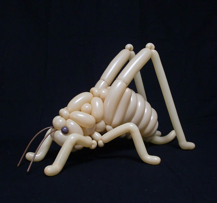 Lufiállatok, ahogy még nem láttad őket - fotók