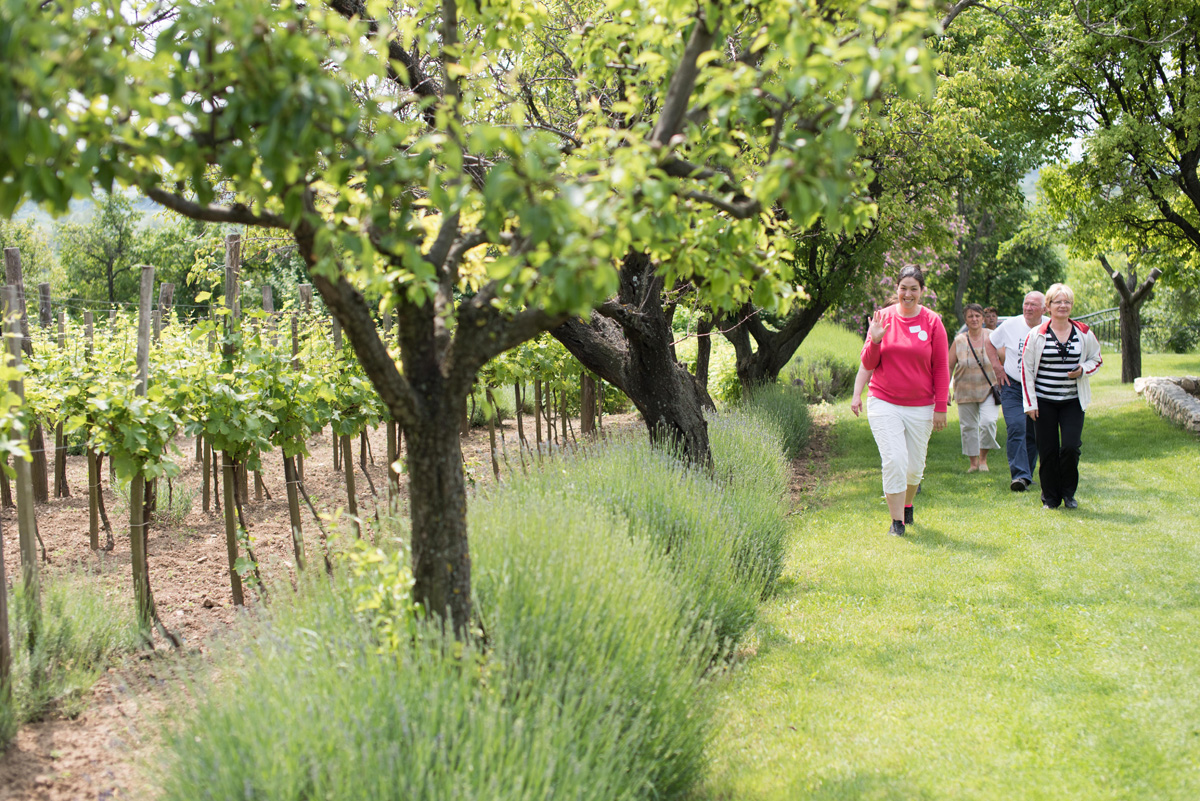 Fotó: Pető Szilvia Fotó: Pető Szilvia