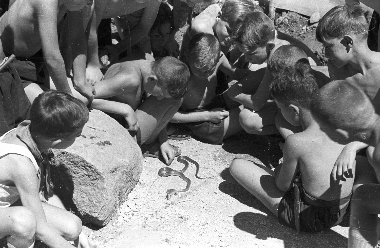 Nyári táborok Nyári táborok