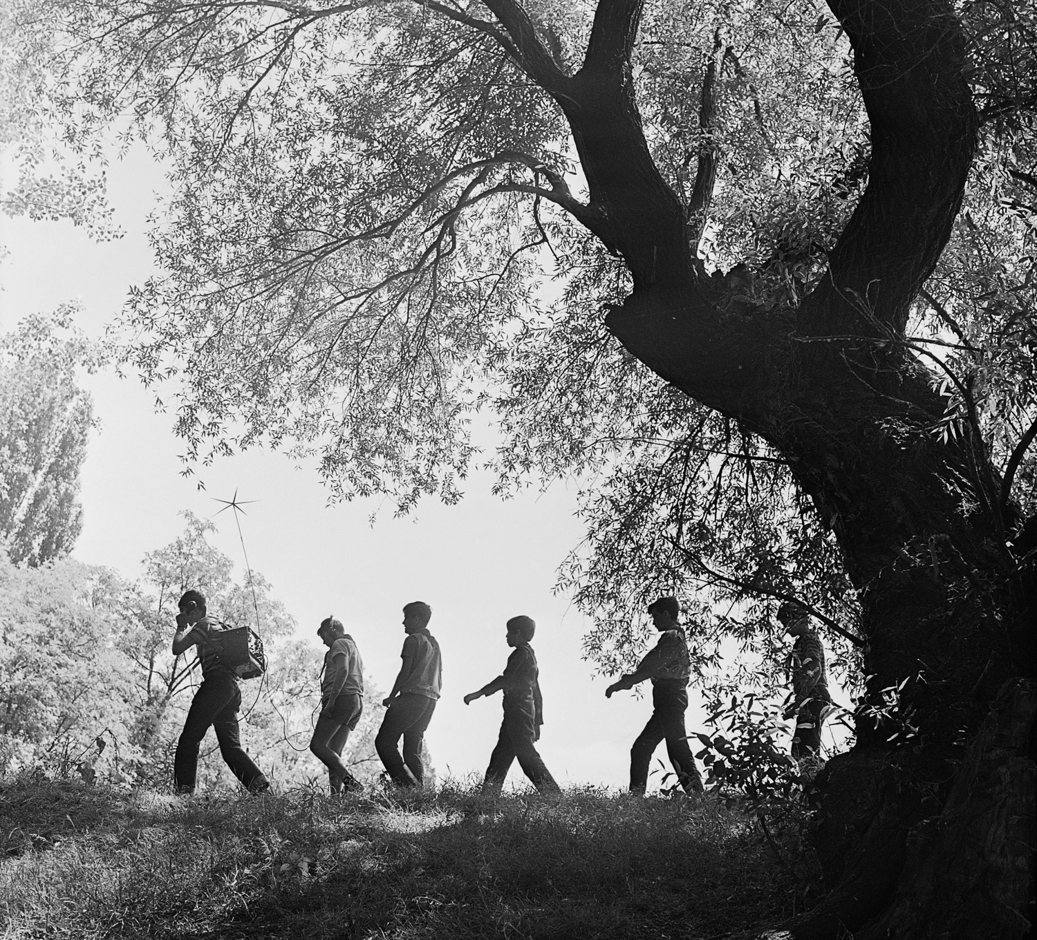 Nyári táborok Nyári táborok