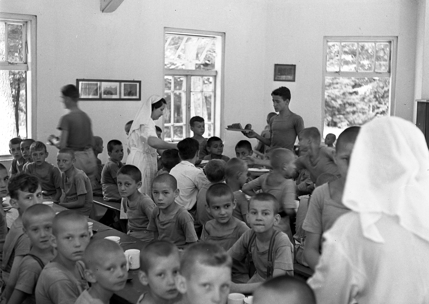 Nyári táborok Nyári táborok