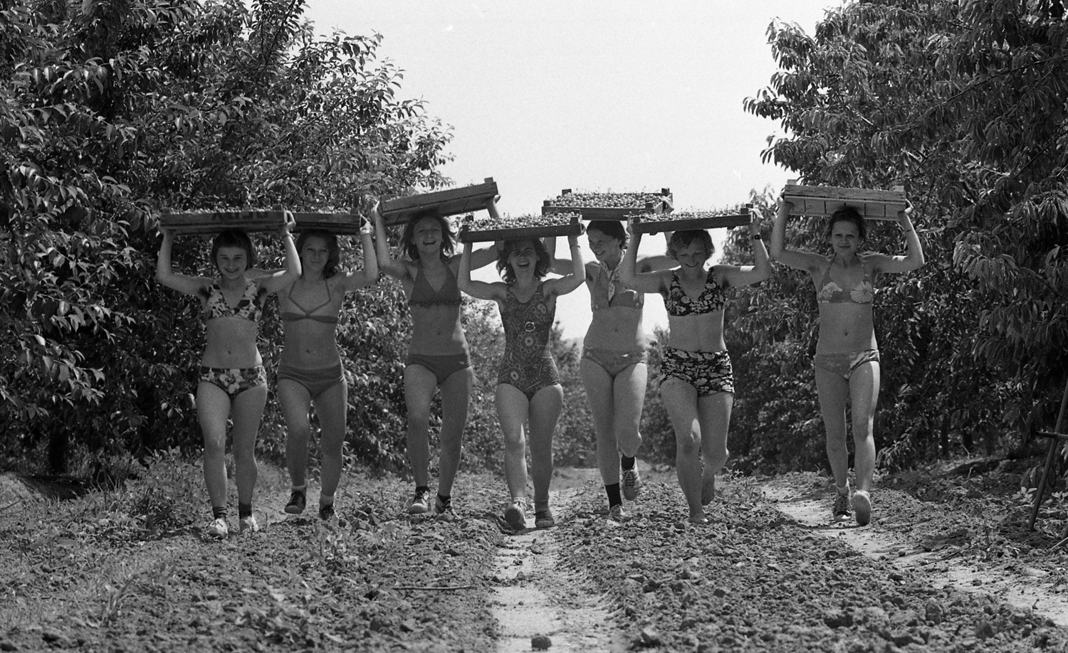 Nyári táborok Nyári táborok