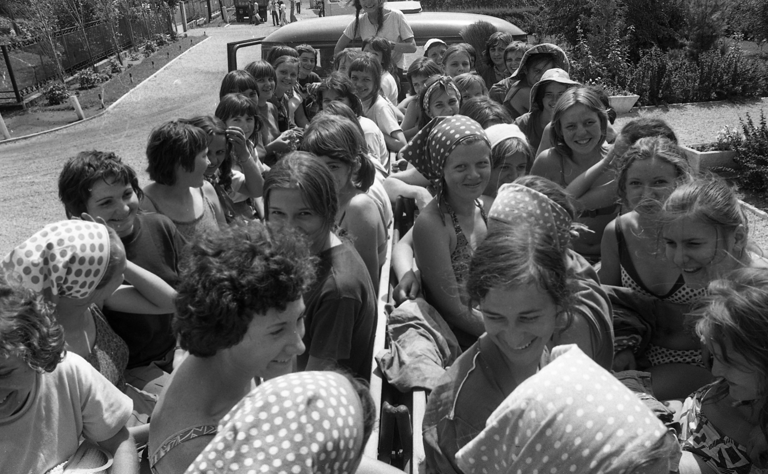 Nyári táborok Nyári táborok