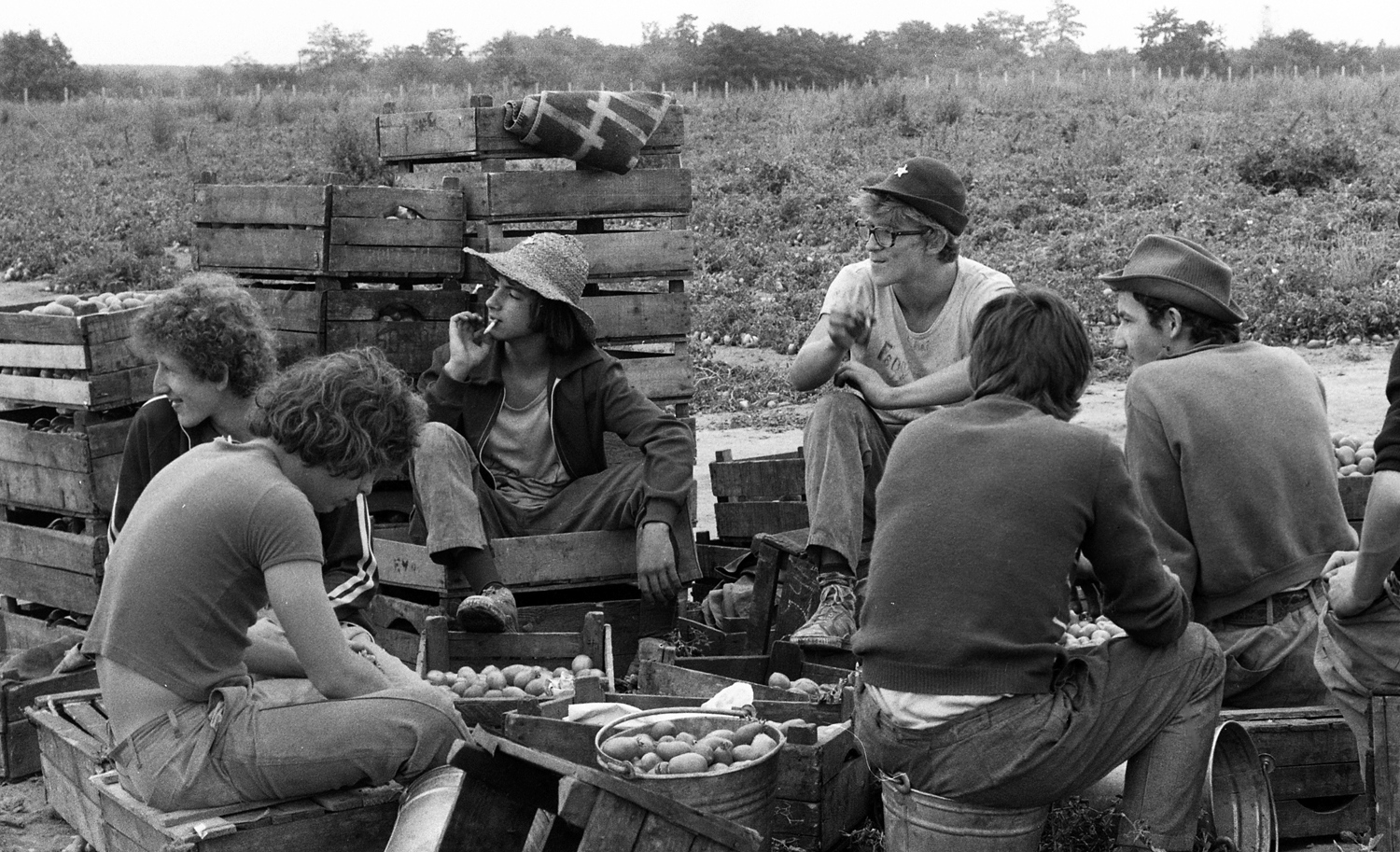 Nyári táborok Nyári táborok