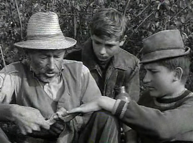 Matula bácsi és Tutajos : 50 éves a Tüskevár