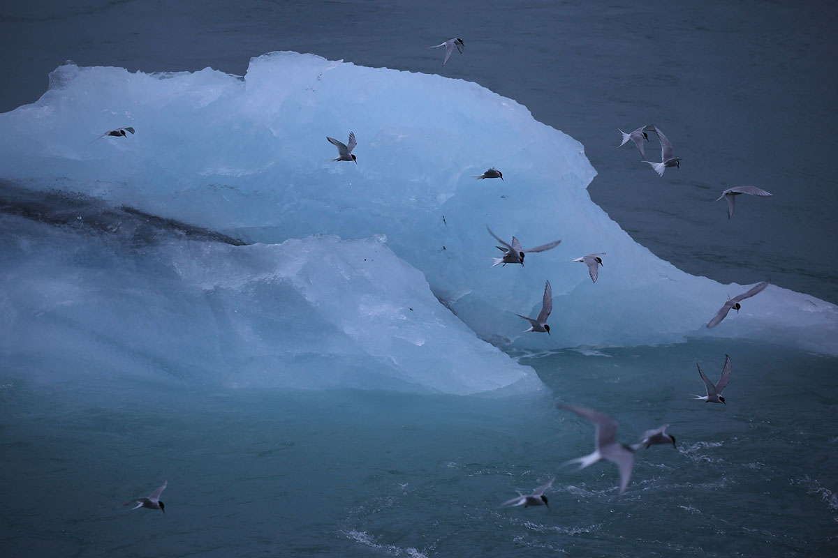 Izland nyáron igazi turista paradicsom - aminek a helyiek egyre kevésbé örülnek Izland nyáron igazi turista paradicsom - aminek a helyiek egyre kevésbé örülnek