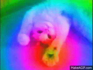 A Magyar Idők célja az agysejtek teljes megsemmisítése