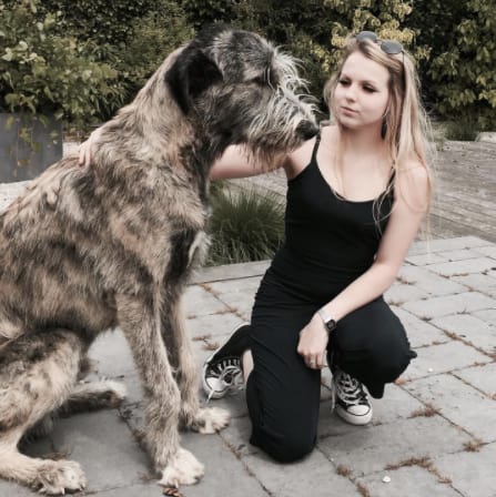 10 kutya, aki túl nagy ahhoz, hogy kutya legyen