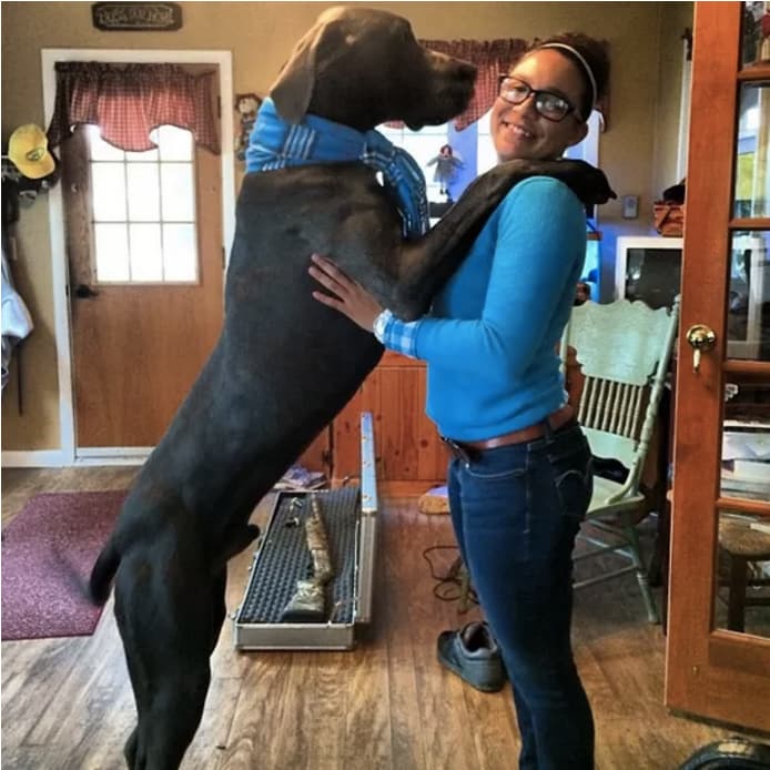 10 kutya, aki túl nagy ahhoz, hogy kutya legyen