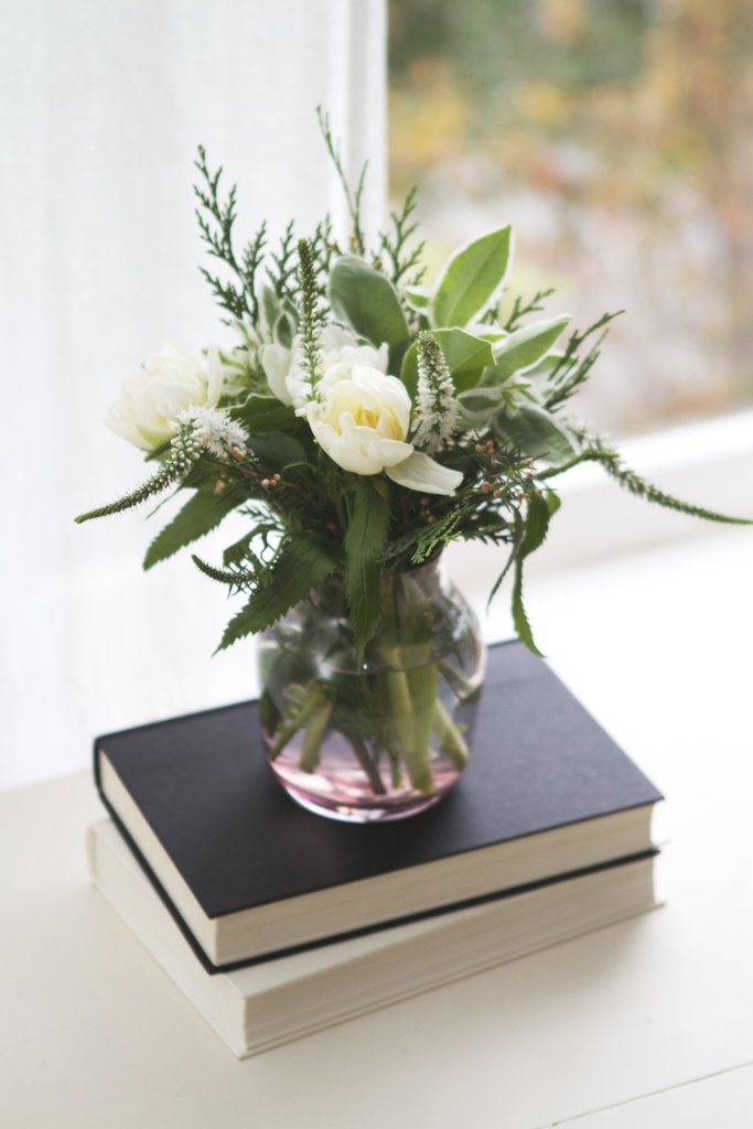 3 hely a lakásban, amit imádnak a szúnyogok