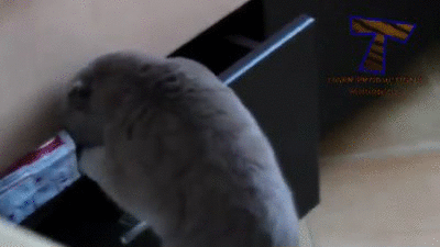 Nem lenne jó ilyesmire hazaérni, ugye? 