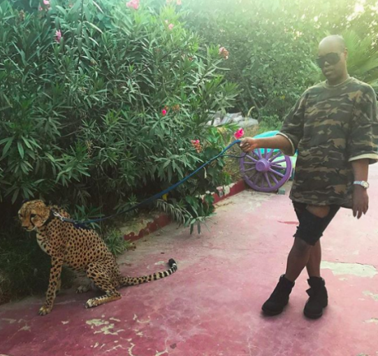 Így töltik a nyarat az Instagram gazdag kölykei