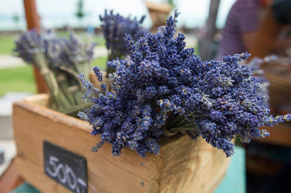 MTI Fotó: Bodnár Boglárka