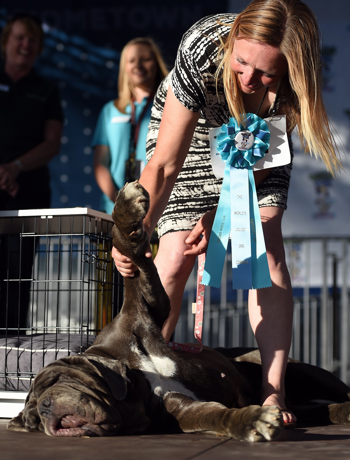 A világ legrondább kutyája nagy, ronda, lusta és imád fingani A világ legrondább kutyája nagy, ronda, lusta és imád fingani