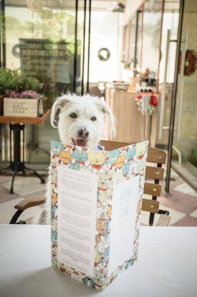 Mostantól egy háromfogásos vacsora közben is segíthetsz az árva kutyákon!