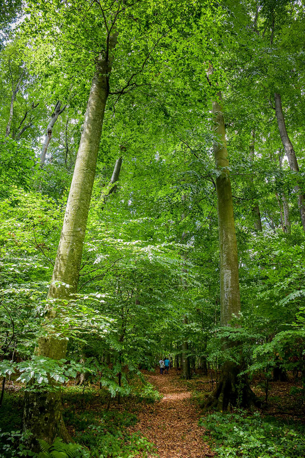 Anyukák nélkül, gyermekeikkel ünnepli az apák napját ez a 15 édesapa