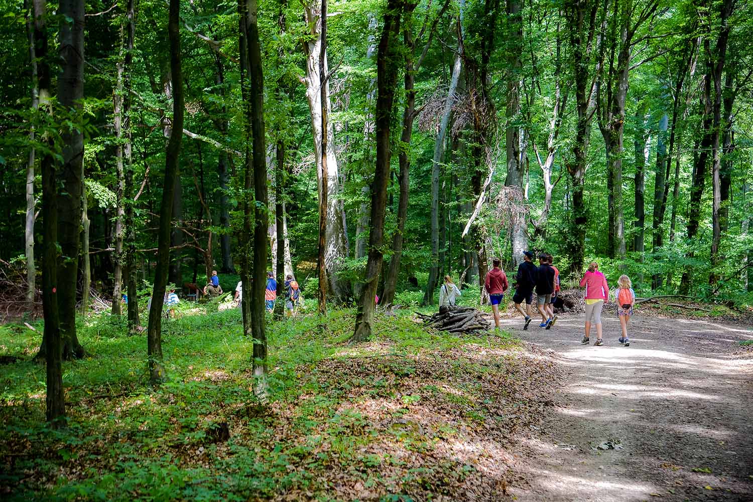 Apák napja: így ünnepel 15 lelkes édesapa