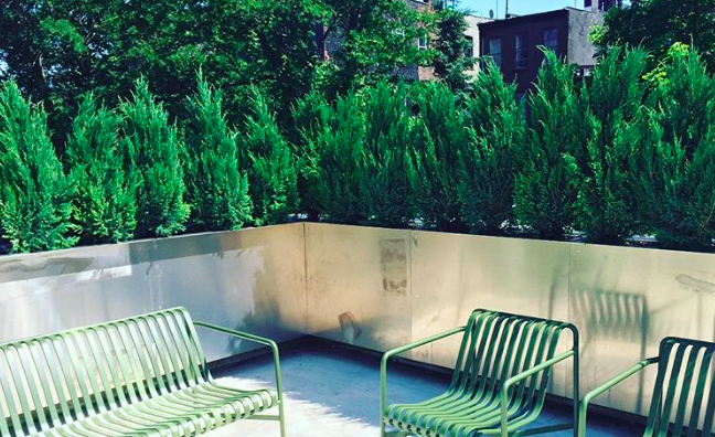 8 szárazságtűrő növény, amire esküsznek a kertészek