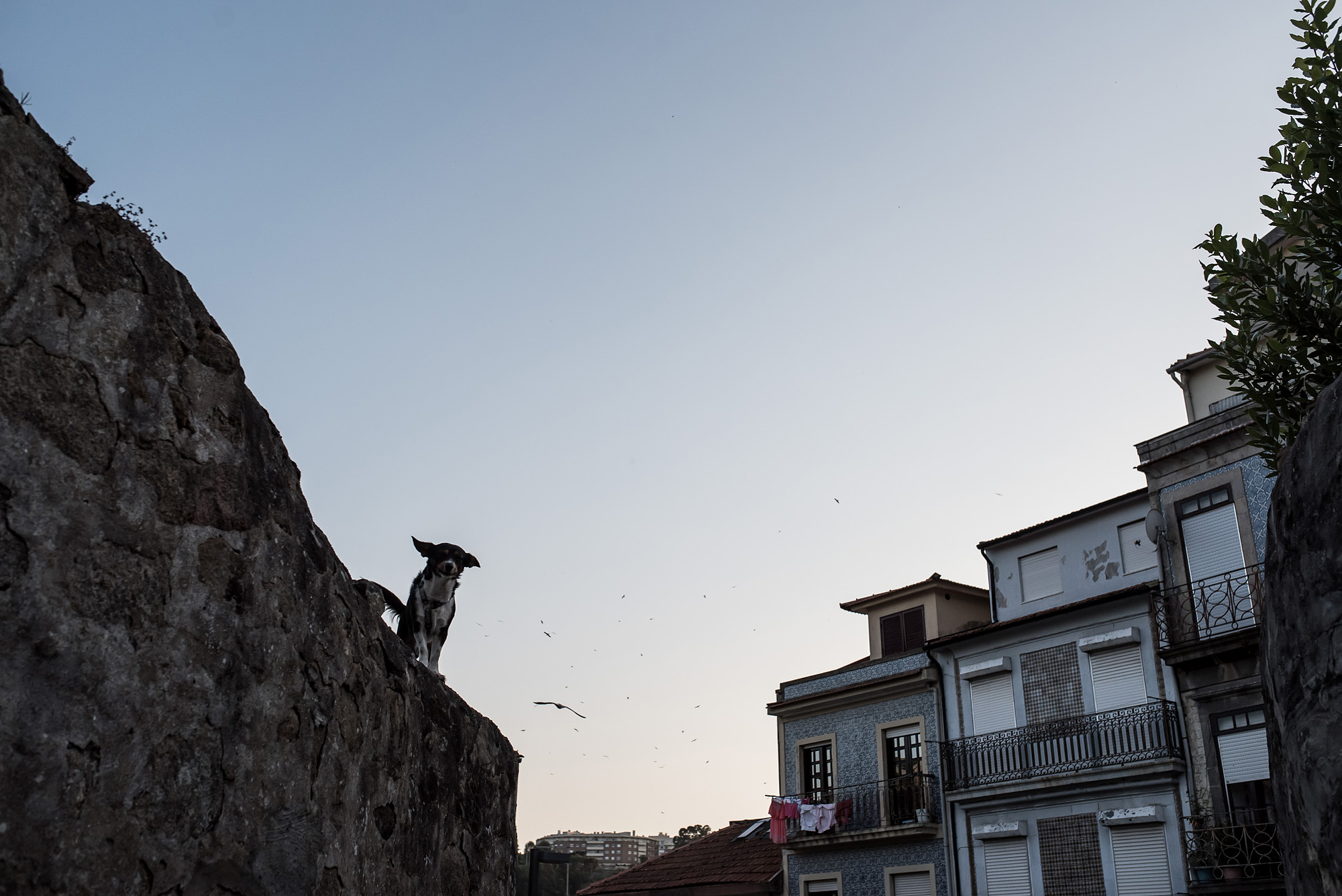 Porto: a legmenőbb város, amit nem ismersz
