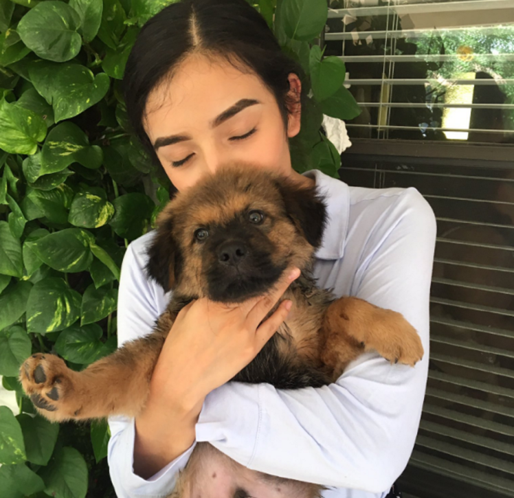 Minden évben újabb kutyával ünnepli házassági évfordulóját a pár