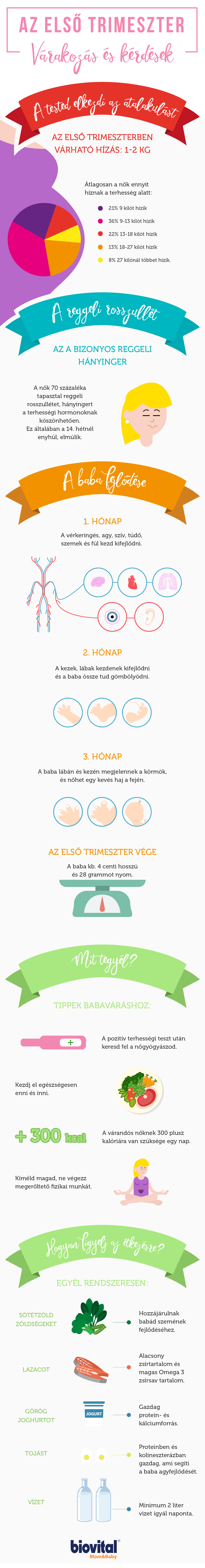 Ezek a legfontosabb kérdések és válaszok a terhesség első 3 hónapjában