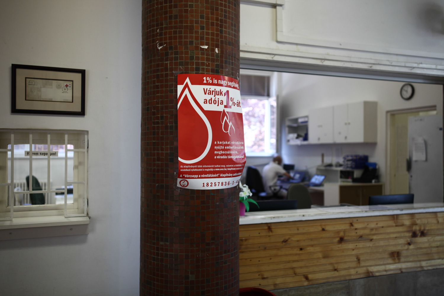 Így segít a véred, ha felajánlod