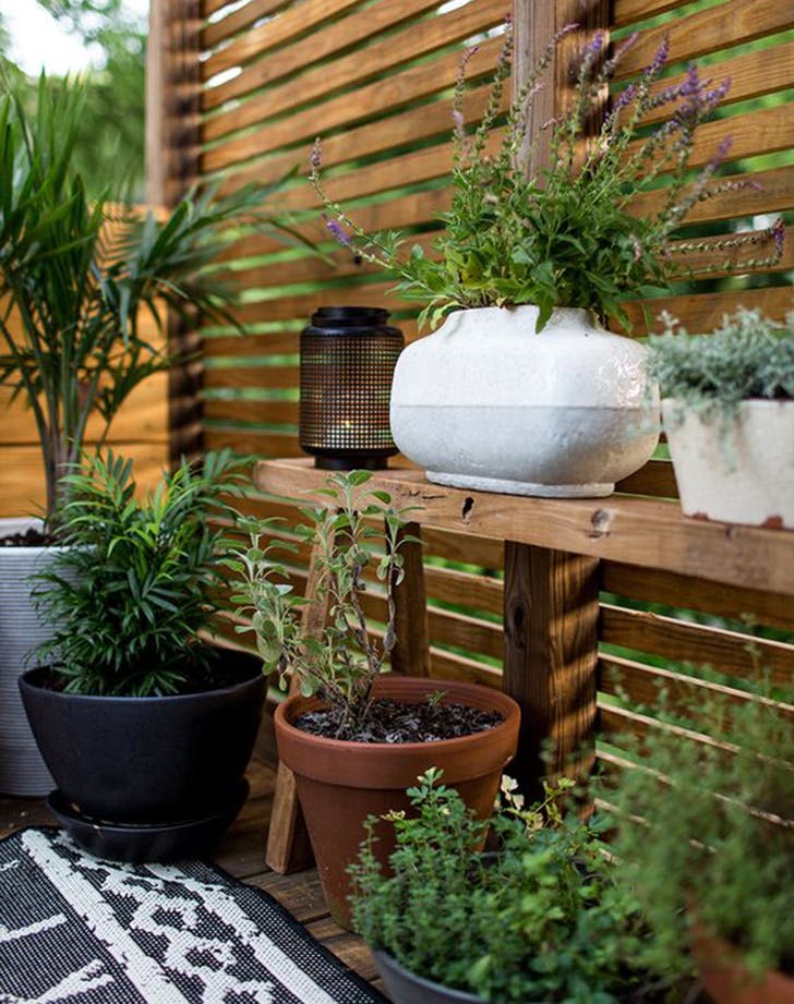 X mód, ahogy megőrizheted a kerted privát szféráját