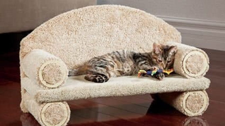 10 cucc, amivel elkényeztetheted a macskádat 10 cucc, amivel elkényeztetheted a macskádat