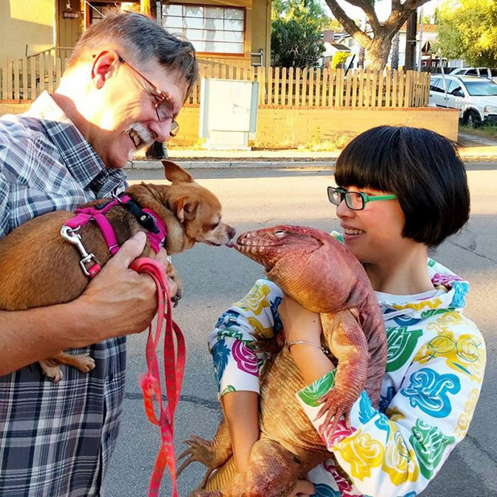 Hatalmas, kutyaként viselkedő gyíkot imádnak a neten