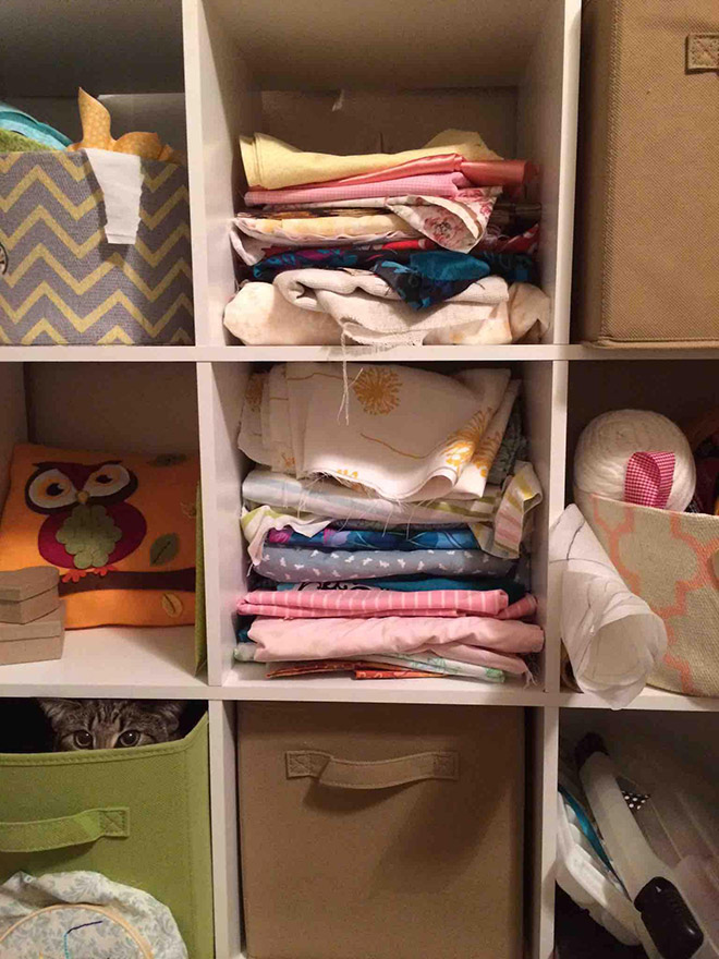 Macskanindzsák: a lopakodás és álcázás mesterei Macskanindzsák: a lopakodás és álcázás mesterei