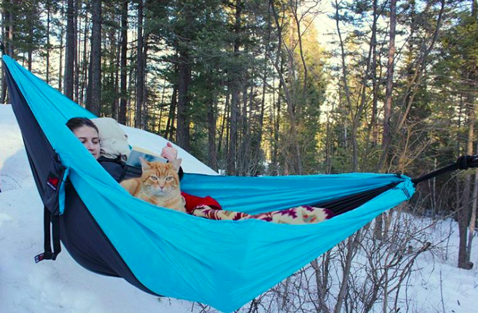 10 macska, aki nem a lakásban lustálkodja végig az életet 10 macska, aki nem a lakásban lustálkodja végig az életet