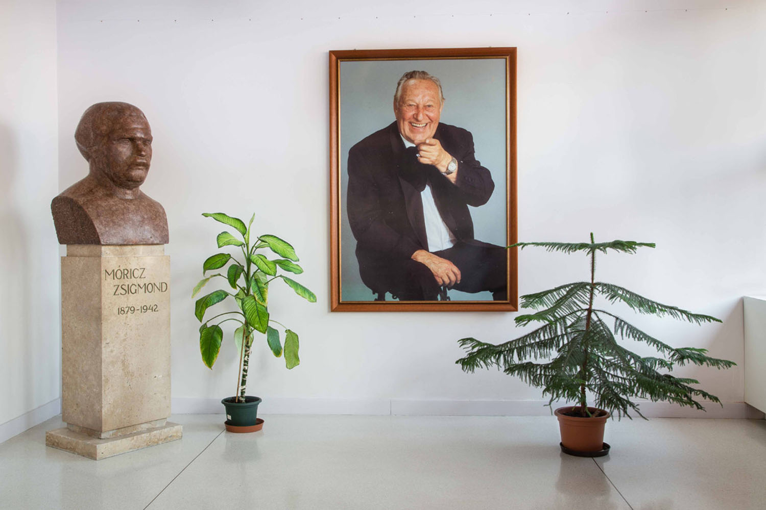 Tímár Sára: Kultúrházak