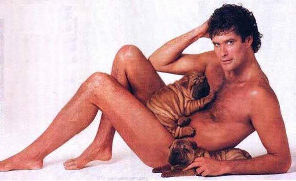 Best of David Hasselhoff: 65 éves a kínos pillanatok koronázatlan királya