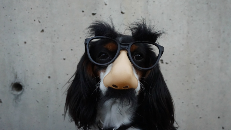 fotó: Braydon Anderson