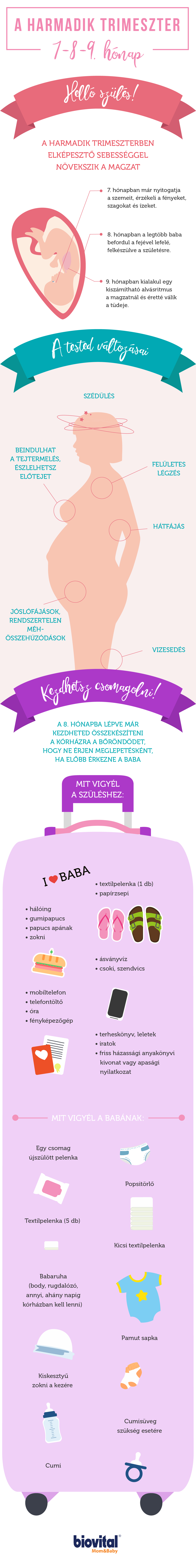 Ezeka legfontosabb tudni valók terhességed harmadik trimeszteréről