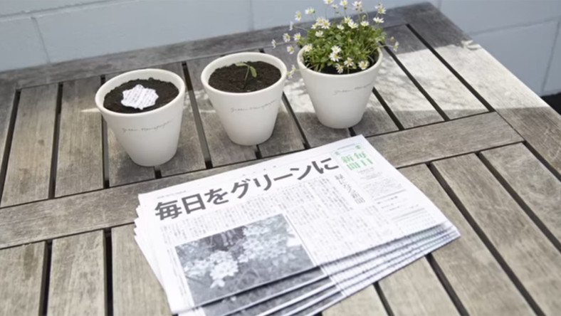 Nem gondolnád, hogy ebből is nőhet ki növény