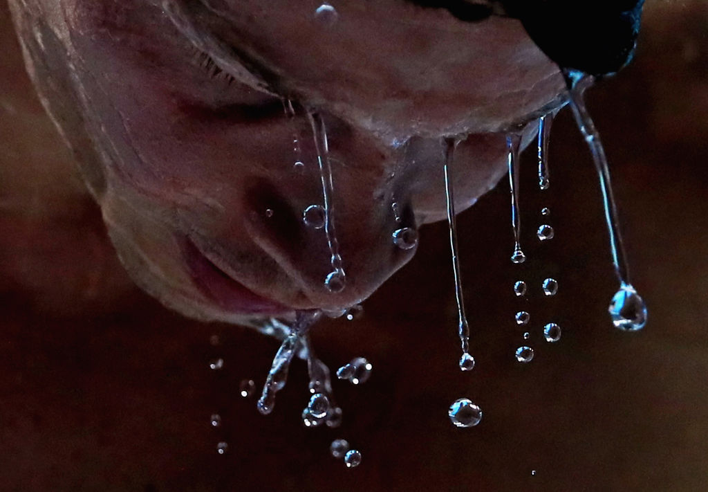 FINA 2017: Káprázatos fotók a vizes vb-ről