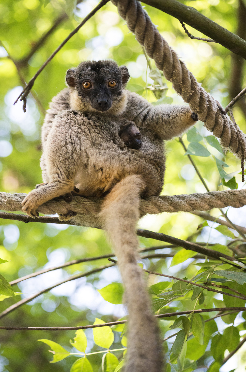 MTI fotó: Balázs Attila